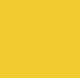 Bright yellow (Ярко-желтый)
