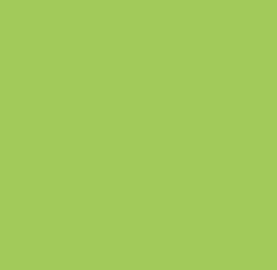 Green lime (Зеленый лайм)