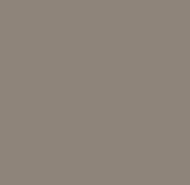 Grey beige (Серо-бежевый)